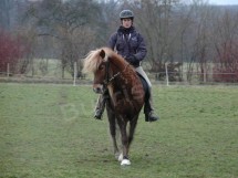 0803mimijungpf1 <br />