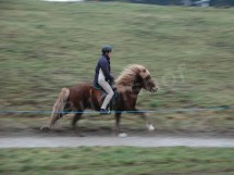 0803mimijungpf2 </p>