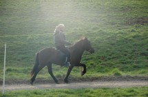 dsc_0004-hulda-rokkvadis <br />