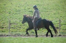 dsc_0029franzi-ganti </p>