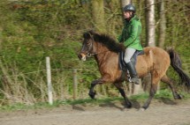 dsc_0125-una-mimi </p>