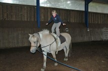 Stehen auf dem Pferd... <br />
