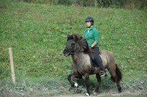 DSC_0258 DSC_0258