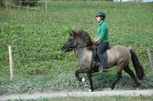 DSC_0265 DSC_0265