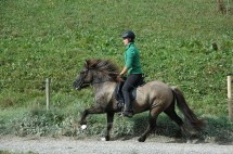 DSC_0285 DSC_0285