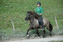 DSC_0293 DSC_0293