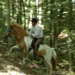 DSC_0023 Jochen Flekka