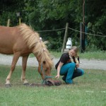 DSC_0210 Andi Claudius