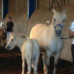 DSC_0304.JPG Fosch Minnja Mona