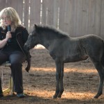 DSC_0540.JPG Fosch Lexia