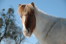 DSC_0162 DSC_0162