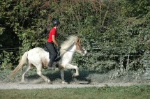 DSC_0449 DSC_0449