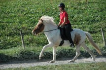 DSC_0454 DSC_0454