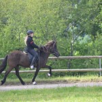 DSC_0502 Helen Rökki