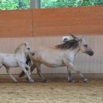 DSC_1408 Dunja Dewina