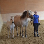 DSC_1422 Dunja Dewina