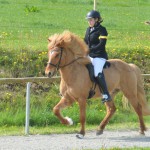 DSC_4093 Lea Pegasus