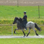 DSC_4120 Silfurnott Mimi