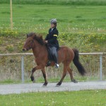 DSC_4158 Uli Arvakur