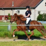 DSC_4183 Passprüfung