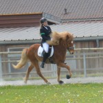 DSC_4328 Stjörnufakur Karo