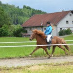 DSC_4555 Pandra Speespass