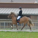 DSC_4606 Saeros Jana