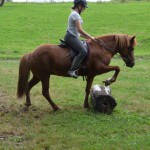 DSC_5560 Helen Pandra