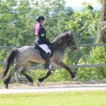 DSC_6037 5 - g Sprengi