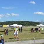 DSC_6392 Münzenfelder Hof