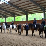 DSC_7950 Reitabzeichen s b