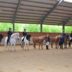 DSC_7953 Reitabzeichen