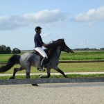 DSC_8034 Sprengi PP2