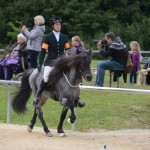 DSC_8219 T 4 Sprengi