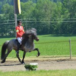 DSC_8669 Sprengi VE T3