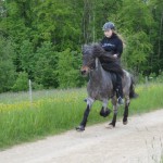 DSC_8939 Passabzeichen