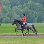 DSC_9064 Sprengi EA 5 G