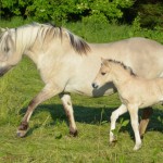 DSC_9616 Jytte Jarne