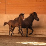 IMG_005127 Rasmus Runa