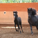 IMG_005140 Viktor Ladina