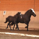 IMG_005147 Viktor Ladina