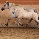 IMG_005288 Jytte Jarne