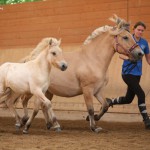 IMG_005303 Nadeshda Nordika