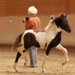 IMG_15201_1 Manatindur