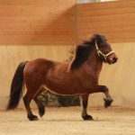 IMG_15980_1 Loftfari