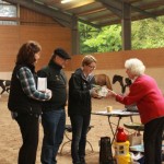 IMG_17867_1 wie Weihnachten