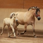 IMG_19299_1Linn Lise