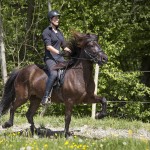 verkaufsschau-burrishof-2017-01