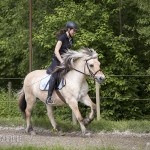 verkaufsschau-burrishof-2017-20