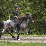 verkaufsschau-burrishof-2017-50